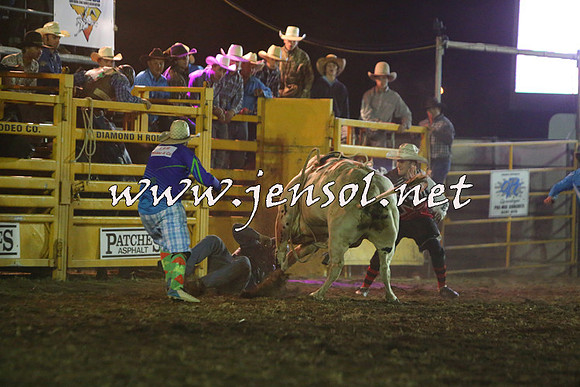 QueanbeyanRodeo2015_4687