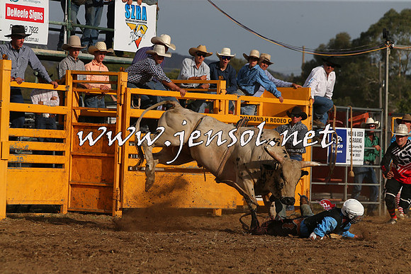 QueanbeyanRodeo2015_3592