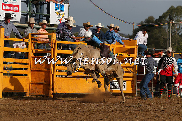 QueanbeyanRodeo2015_3578