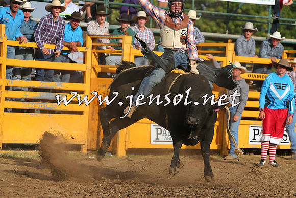 QueanbeyanRodeo2015_3524