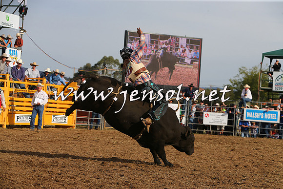 QueanbeyanRodeo2015_3555