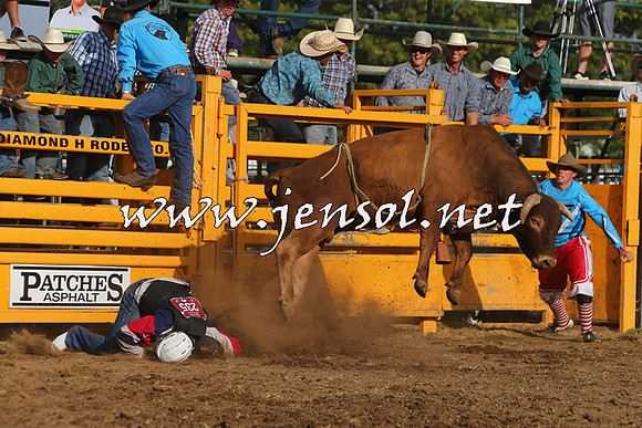QueanbeyanRodeo2015_3655