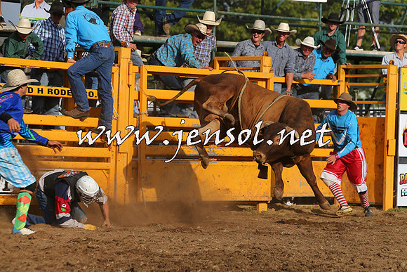 QueanbeyanRodeo2015_3648