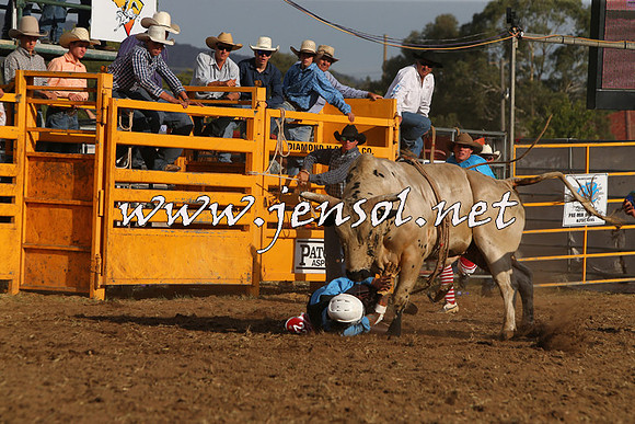 QueanbeyanRodeo2015_3587