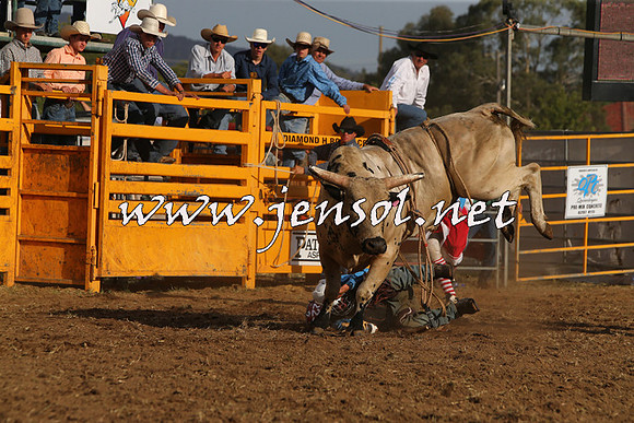 QueanbeyanRodeo2015_3609