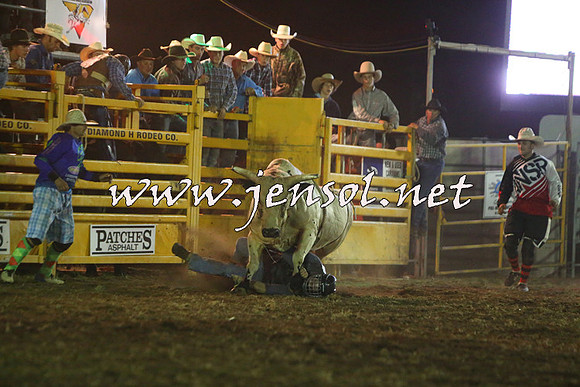 QueanbeyanRodeo2015_4677