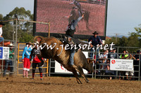 QueanbeyanRodeo2015_3372
