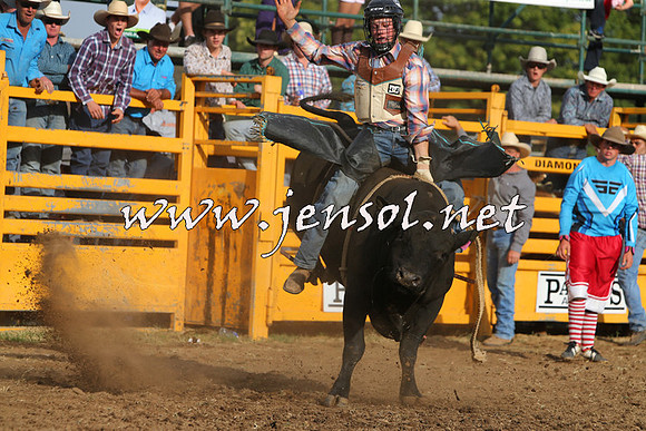 QueanbeyanRodeo2015_3525