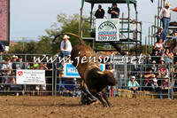 QueanbeyanRodeo2015_3391