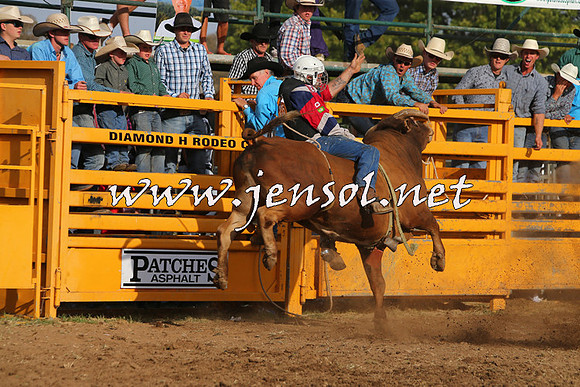 QueanbeyanRodeo2015_3624