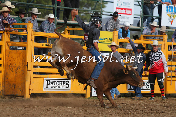 QueanbeyanRodeo2015_3483