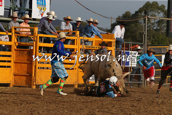 QueanbeyanRodeo2015_3583