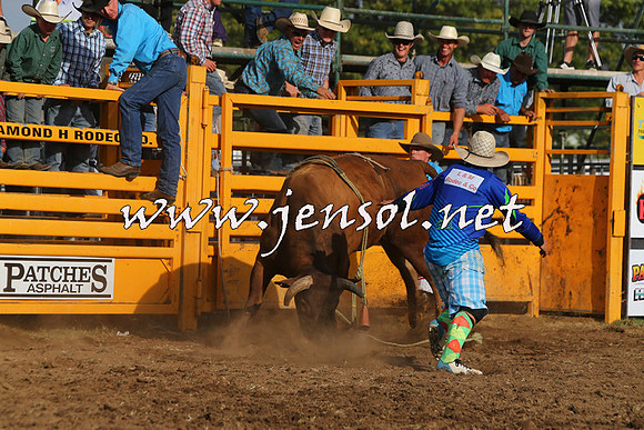 QueanbeyanRodeo2015_3665