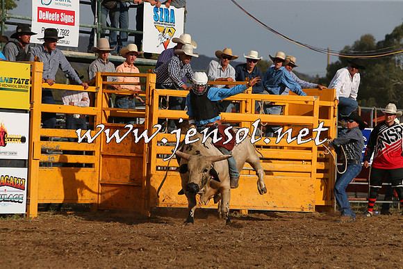 QueanbeyanRodeo2015_3569