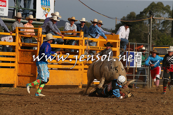 QueanbeyanRodeo2015_3588