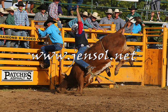 QueanbeyanRodeo2015_3625