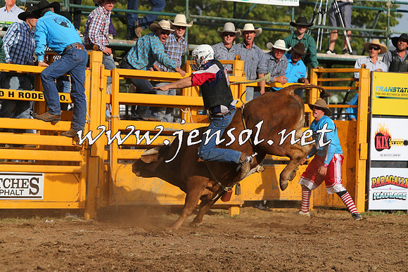 QueanbeyanRodeo2015_3637