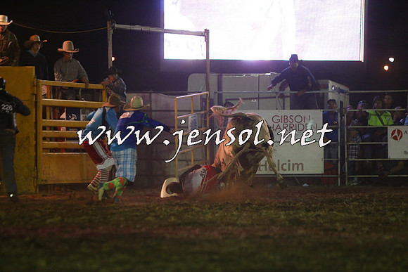 QueanbeyanRodeo2015_4698