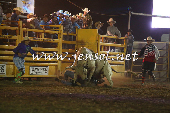 QueanbeyanRodeo2015_4678