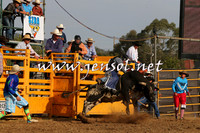 QueanbeyanRodeo2015_3409