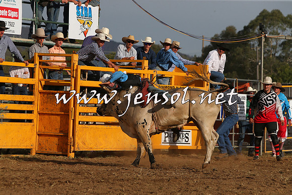 QueanbeyanRodeo2015_3580