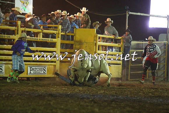 QueanbeyanRodeo2015_4679
