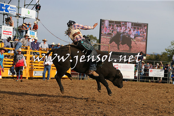 QueanbeyanRodeo2015_3556