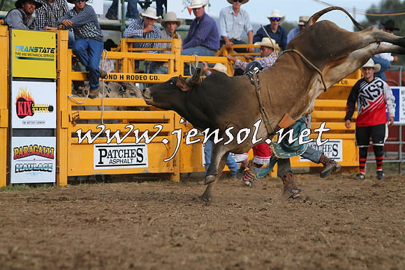 QueanbeyanRodeo2015_3466