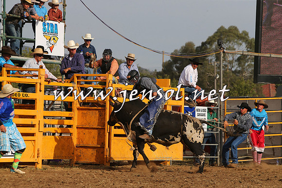 QueanbeyanRodeo2015_3406