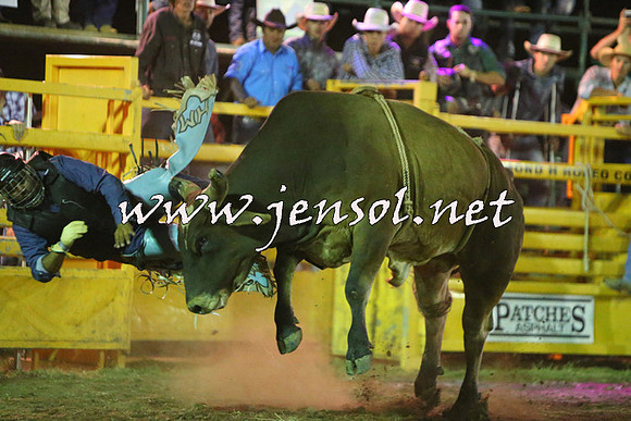 QueanbeyanRodeo2015_4638