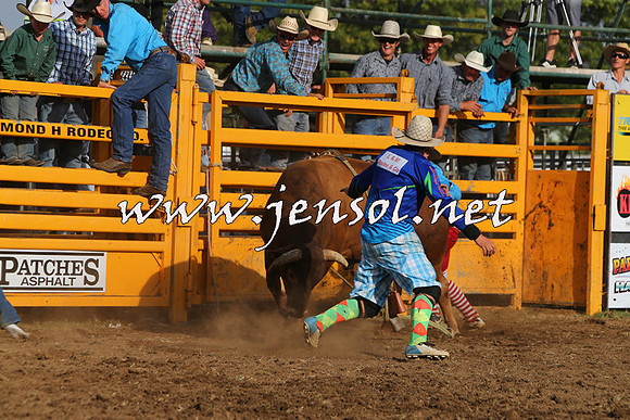 QueanbeyanRodeo2015_3652