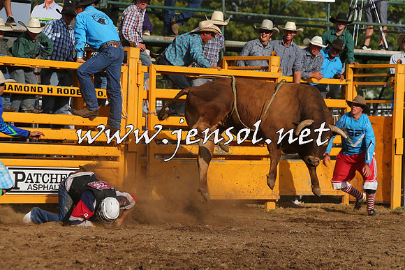 QueanbeyanRodeo2015_3653