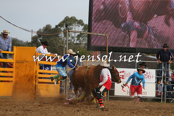 QueanbeyanRodeo2015_3454