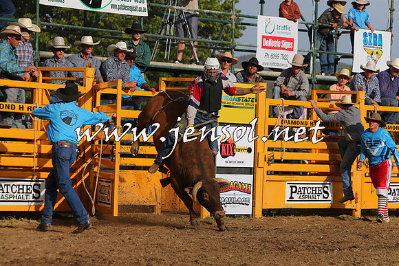 QueanbeyanRodeo2015_3617