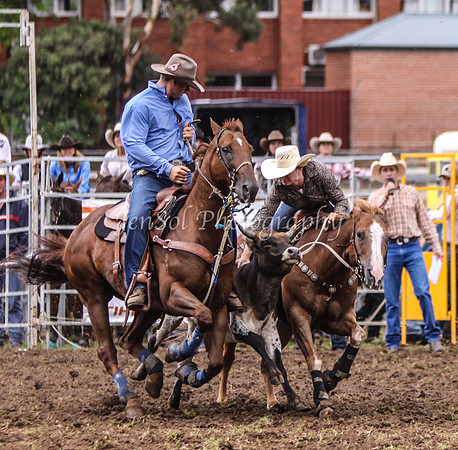 IMG_0025Qbn1