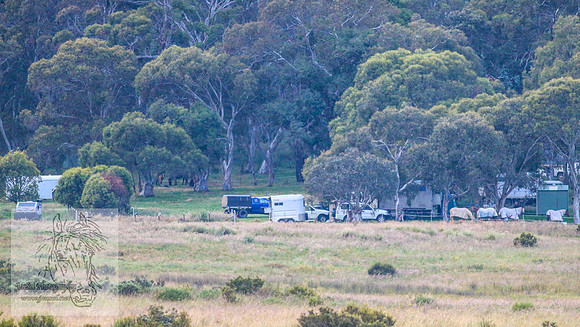 Brumbies27Jan23-8