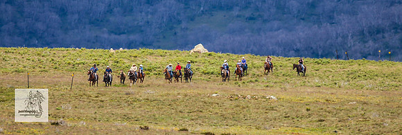 Brumbies29Dec23_2698