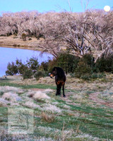 BrumbiesSep2023_0176