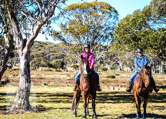 BrumbiesEndMay2022_0293