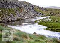 Brumbies12Nov_0090