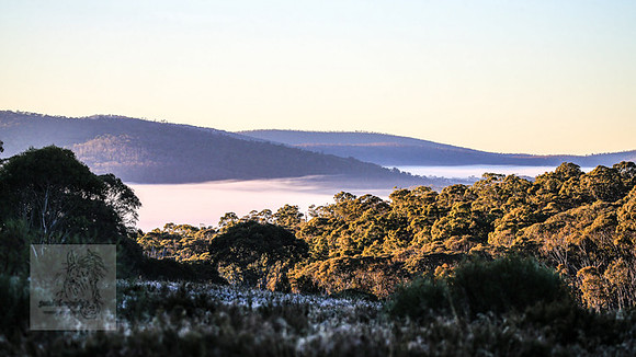 BrumbiesEasterThurs2022_0004
