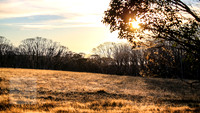 BrumbiesEasterFri2022_0060