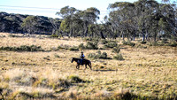 BrumbiesEasterThurs2022_0080