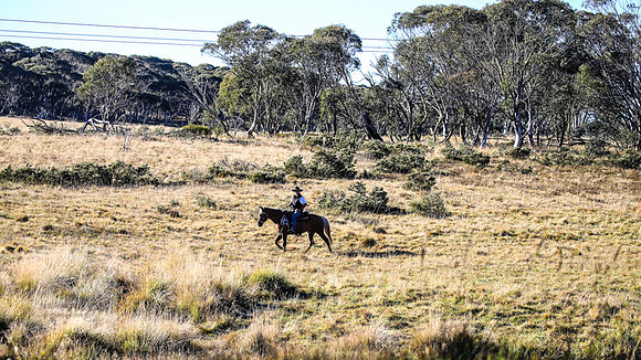 BrumbiesEasterThurs2022_0080