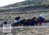 Brumbies17Oct22_2096