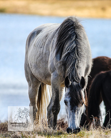 BrumbiesOct2022_0507