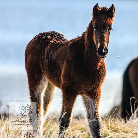 BrumbiesOct2022_0514