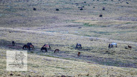 Brumbies17Oct22_2022