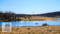 BrumbiesSep2022_0082