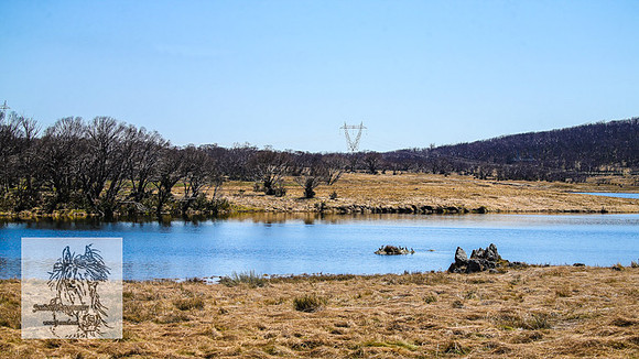 BrumbiesSep2022_0082